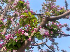 -天津东丽湖风景区