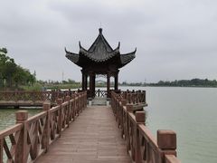 -官亭林海