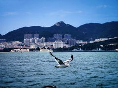 -刘公岛景区
