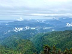 -瓦屋山景区