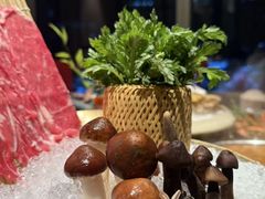 -上井料理黑金店(IFS国金中心店)