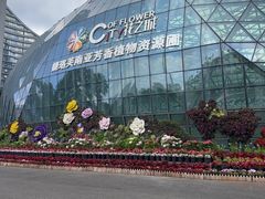 -花之城