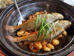 八分钟砂锅焗黄鱼-有喜胶东小馆(太申祥和店)