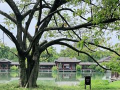 -成都武侯祠博物馆