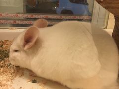 -龙猫仔乐园(惠福东路店)