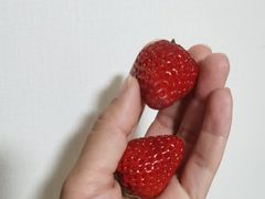 -顺鑫石门市场