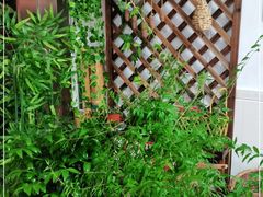 -胡老三家土菜馆·老店地方特色菜·招牌茅山地锅老鹅