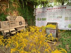 -长廊欢乐园