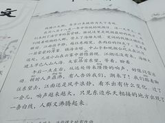-观潮胜地公园