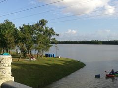 -上海海湾国家森林公园