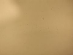 -南京钟山宾馆(江苏省会议中心)