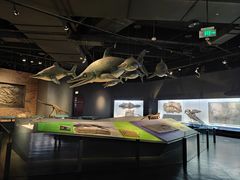 -重庆自然博物馆(新馆)