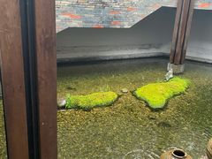 -几荷·恰似故人来(秀水广场店)