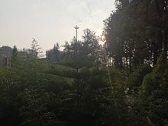 -翠湖里(翠湖南路店)