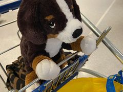 -宜家家居(哈尔滨商场店)