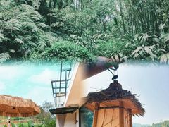 -漫山居私汤民宿全竹宴