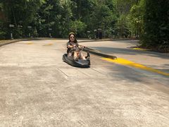 -圣淘沙天际线斜坡滑车