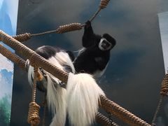 -石家庄市动物园