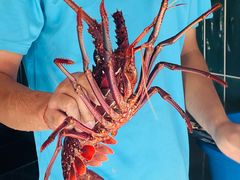 -真浪花园海鲜餐馆