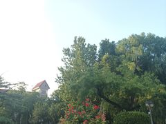 -睦南公园