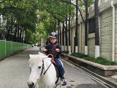 -J Create城市露营咖啡·简餐·宠物(上海动物园店)