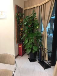 -芳朵美容养生SPA