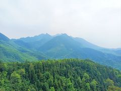 -天花井景区