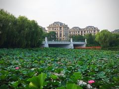 -新江湾城公园