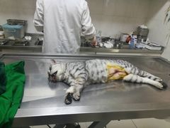 -畜牧兽医站(共江路店)