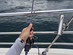 -小猫钓鱼海钓俱乐部(椰梦长廊店)