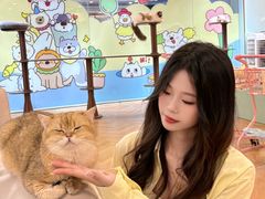 -工联CC