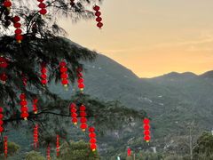 -西涌国际滨海旅游区