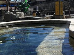 -大连金石滩绿发温泉假日酒店