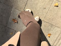 -天津自然博物馆