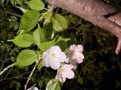 -相门城墙文化休闲景区