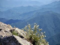 -灵山