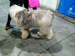 android_upload_pic-东浩兰生上海世博展览馆