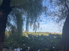 -长春市南湖公园