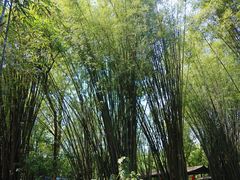-英西峰林·洞天仙境
