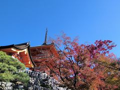 -清水寺