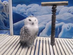 -成都浩海立方海洋公园