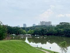 -番禺大夫山森林公园