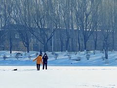 -丁香湖公园