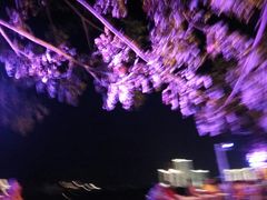 -那些年BBQ烧烤吧