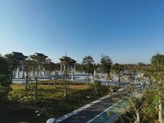 -王借岗森林公园