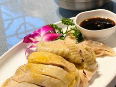 白切鸡-碧丽宫大酒店(召稼楼店)