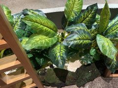 -蘸小院铁锅炖·蘸酱菜·东北菜(怀远门店)