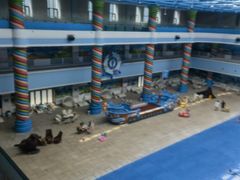 -海豚堡温泉水乐园