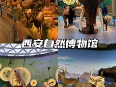 -陕西历史博物馆