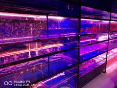-中环花鸟鱼虫市场